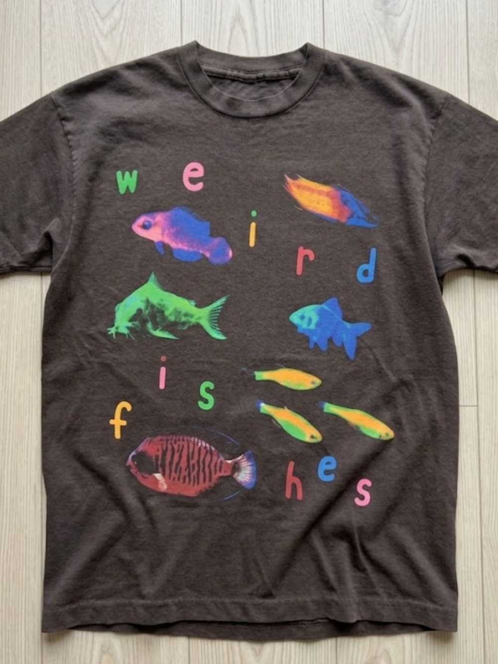 Fish Weird Gildan Brown Graphic Tee